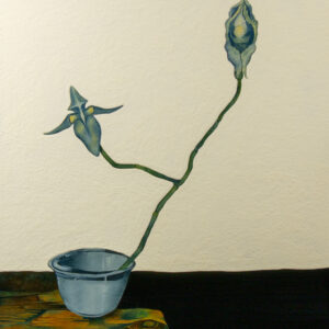 Still Life of a Flower I Don't Know the Name of the Beautiful Flowers Poster