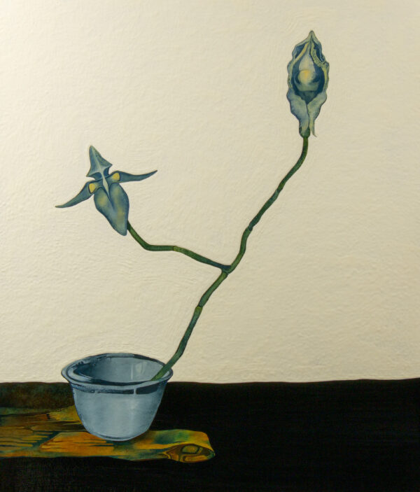 Still Life of a Flower I Don't Know the Name of the Beautiful Flowers Poster